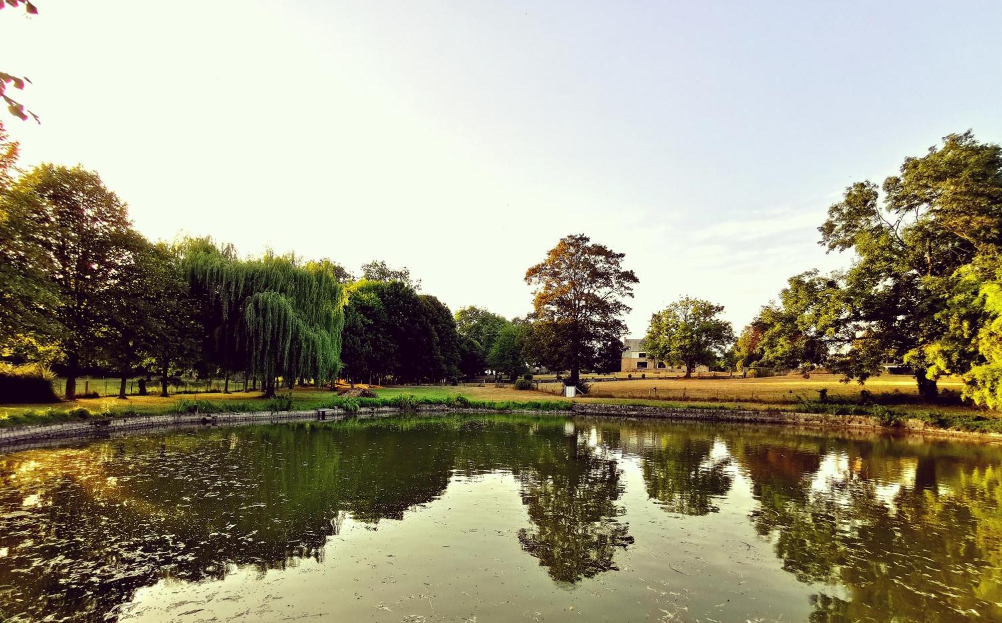 Domaine De L'Isle Maniere Saint-Quentin-sur-le-Homme Exterior foto